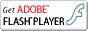 Adobe Flash Player