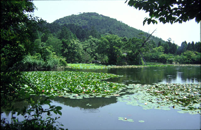 Ryoan-ji