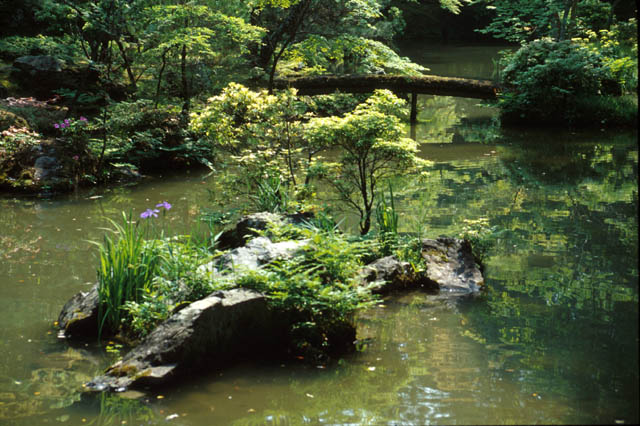 Saiho-ji (2)