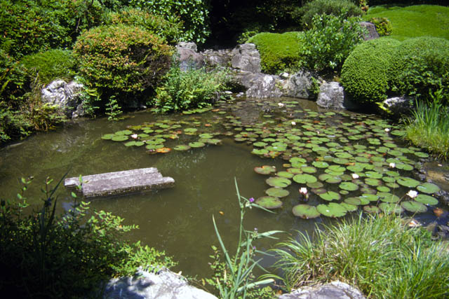 Taizo-in