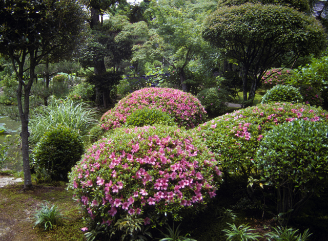 Hokongo-in
