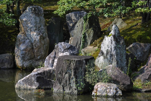 Ninomaru Palace Garden (1)