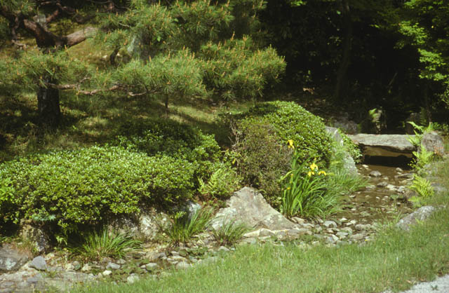 Ninna-ji