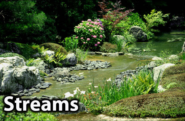 Streams