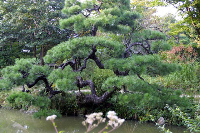 Joruri-ji
