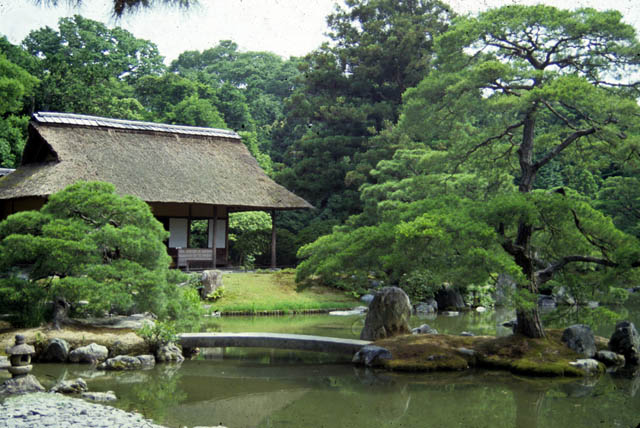 Katsura (1)