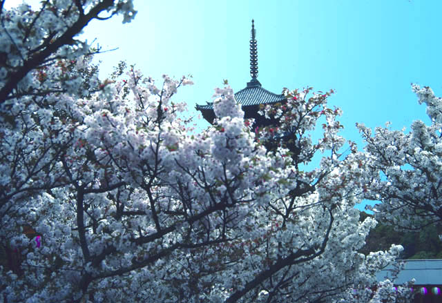 Ninna-ji