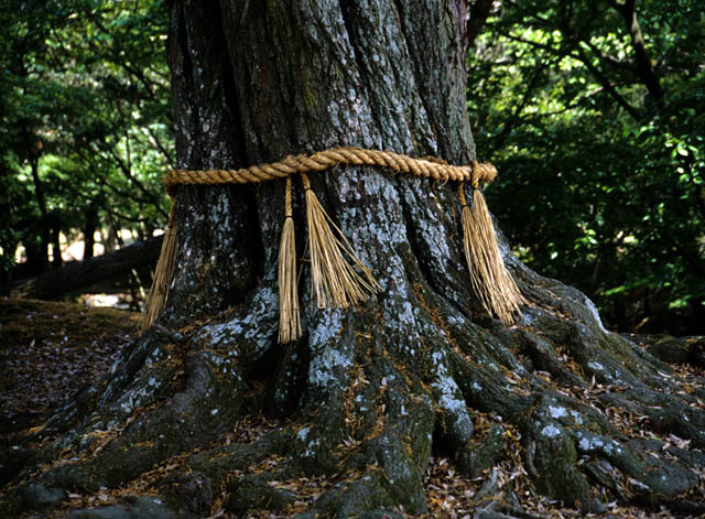Shimenawa