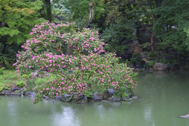 Shusui-tei