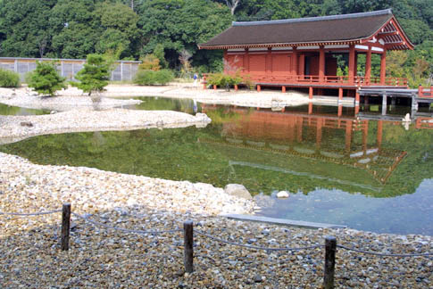 Ton-in pond garden