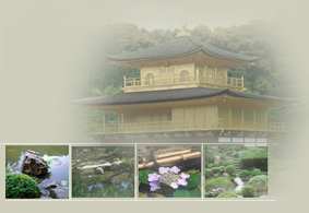 overview garden page