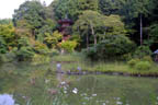Joruri-ji