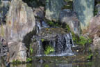  Ninomaru Garden, Nijo Castle