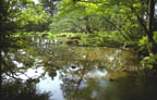 Murin-an