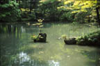 Saiho Ji