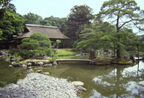 Katsura
