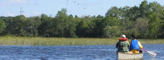 Students, Hunters Combine Knowledge of Merrymeeting Ducks