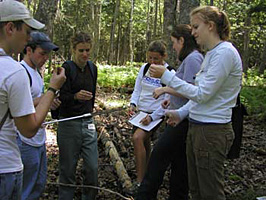 Insect sampling and identification