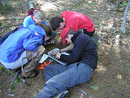 Soil core analysis