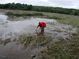 Water sampling - Merrymeeting Bay