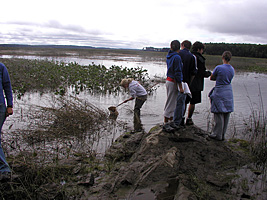 sampling for aquatic invertebrates - Merrymeeting Bay