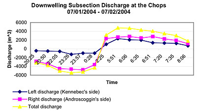Downwelling Subsection Discharge at the Chops
