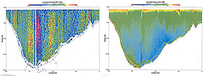 Up velocity and backscatter at transect A.  Data were taken from the maximum discharge during ebb tide