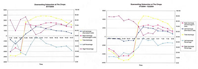 Figure. 4a, 4b Downwelling-subsection discharge and percentage at transect A. 5a data were collected during neap tide (6/17/04) and 5b data were collected during spring tide (7/1-2/04)