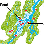 The distribution and abundance of submerged aquatic vegetation in Merrymeeting Bay.