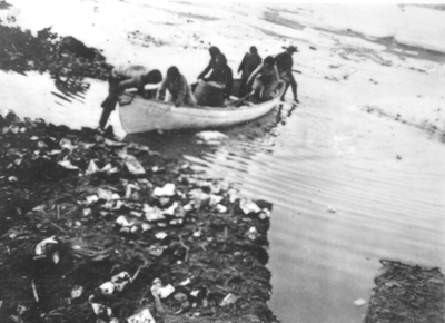 the falcon peary arctic 1893 ship