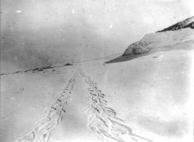  snow shoe tracks snowshoeing arctic snow field