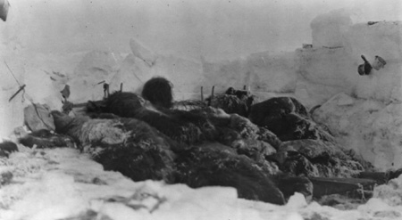 peary arctic musk ox skins hunting 