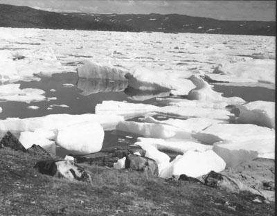  ice field ice pack arctic peary