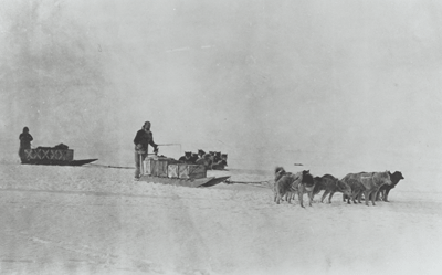 peary arctic dog sledge 