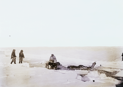  crossing a lead peary arctic sledge dogs